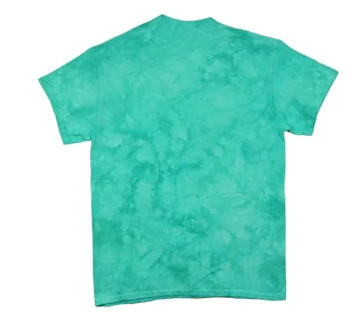 Tie Dye Short Sleeve Tee - Seafoam Coolness